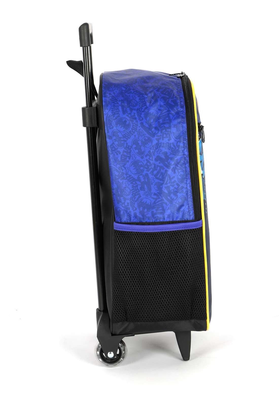 IC42302BM.0200.04.png.AZUL