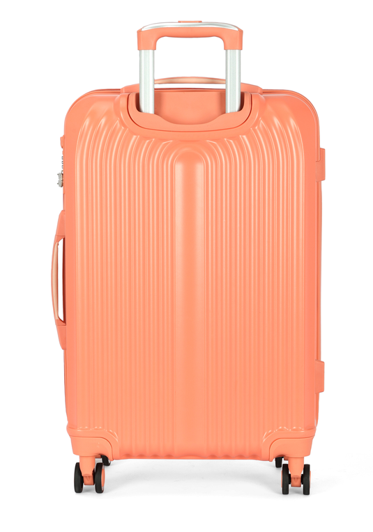 MF10454UP.0200.02.png.SALMÃO