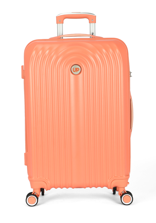 MF10454UP.0200.04.png.SALMÃO