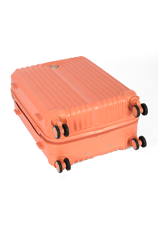 MF10454UP.0200.12.png.SALMÃO