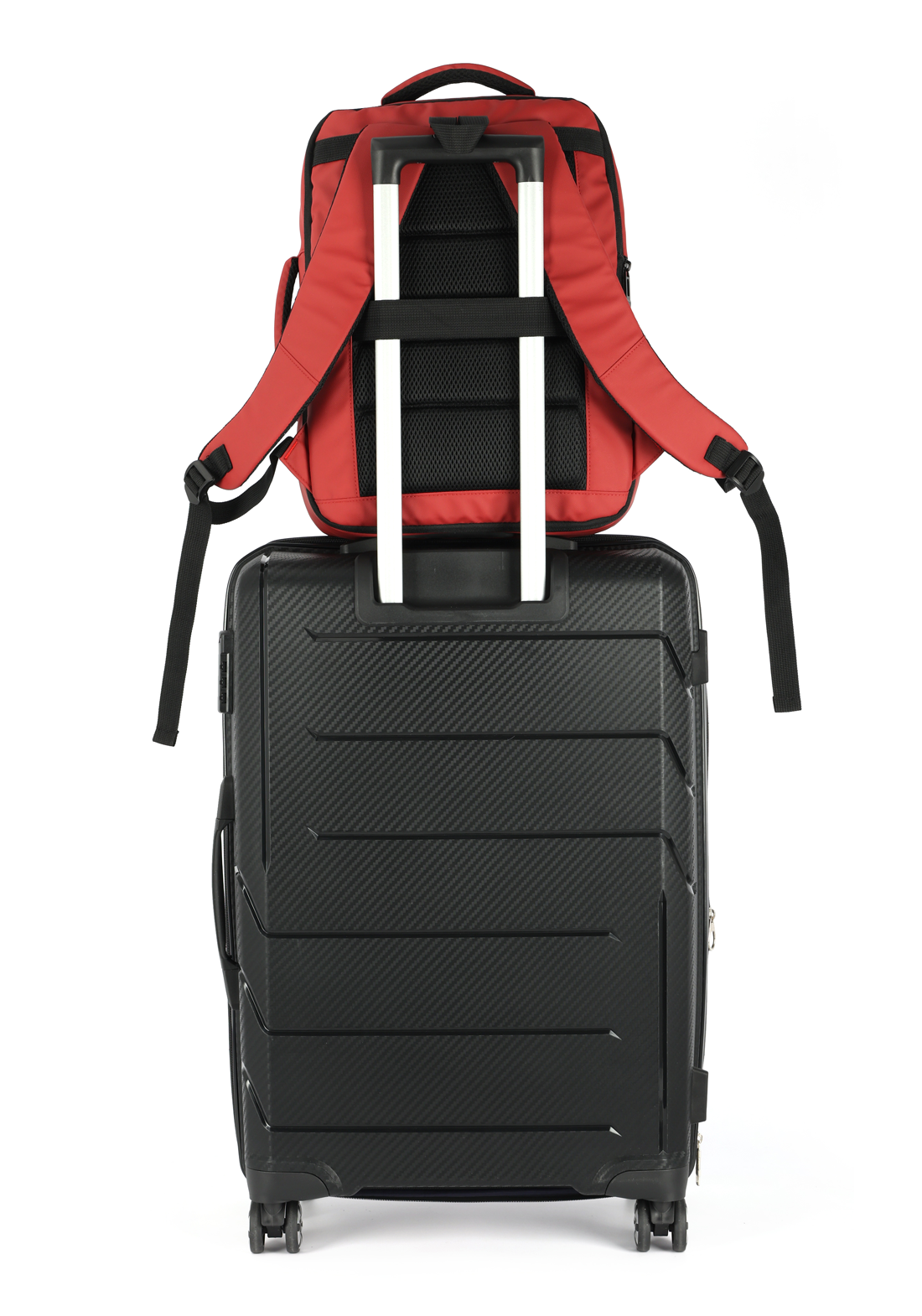 MN54116PK.0800.08.png.VINHO