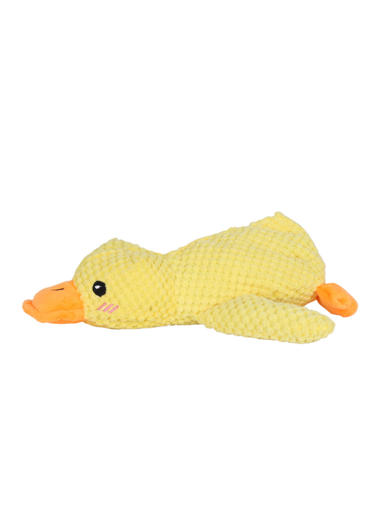 PB24003UP.0700.03.png.AMARELO