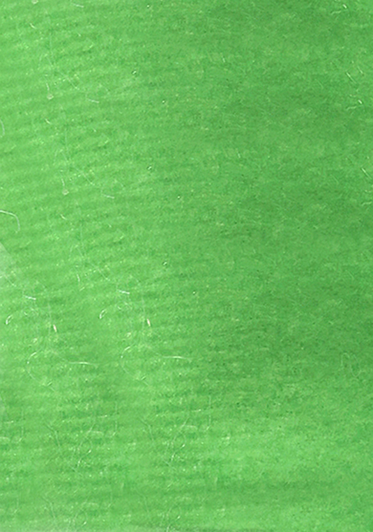 PB24005UP.0100.02.png.VERDE