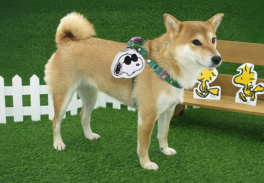 PE25006SN.1200.05.png.BRANCO