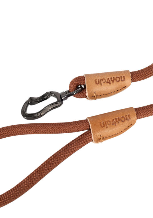 PG24002UP.1100.06.png.MARROM