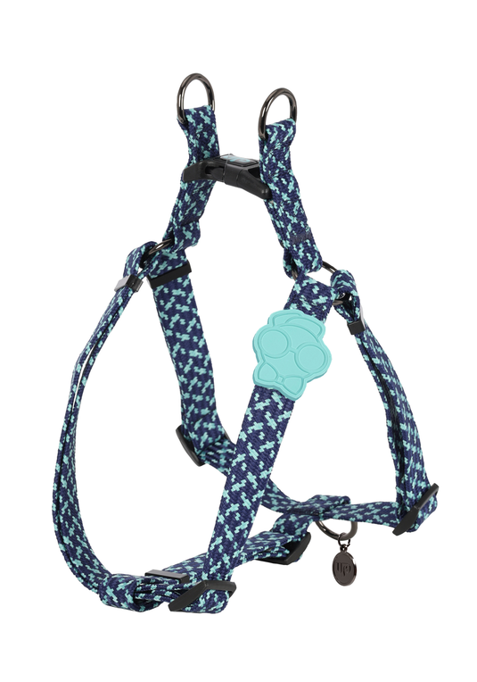 PP25002UP.0200.07.png.AZUL