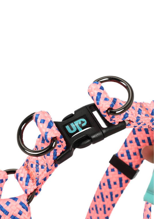 PP25002UP.0310.01.png.ROSA