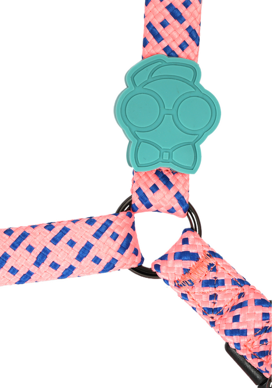 PP25002UP.0310.02.png.ROSA