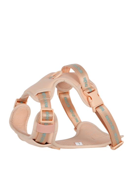 PP25003UP-G.4800.04.png.SALMÃO