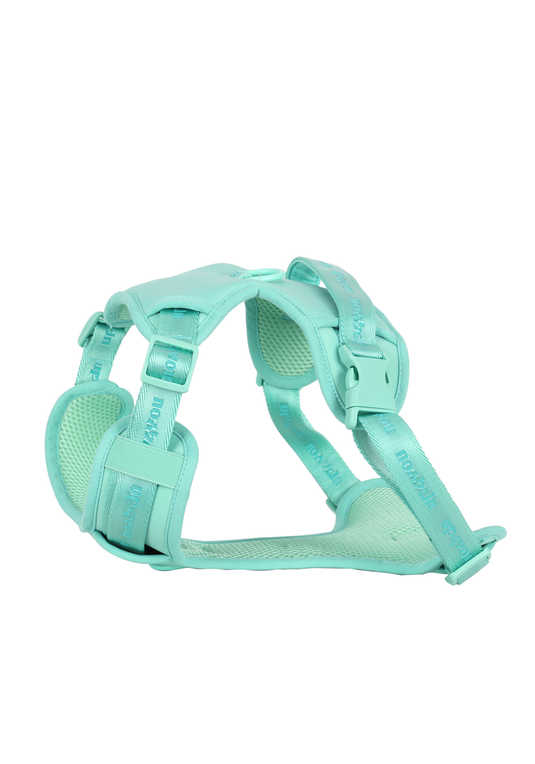 PP25003UP.0100.01.png.VERDE