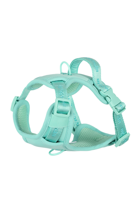 PP25003UP.0100.05.png.VERDE