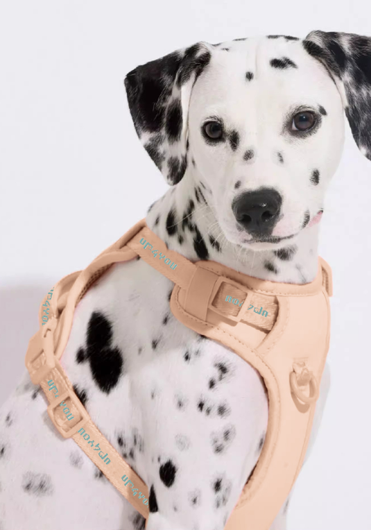 PP25003UP.01.png.BEGE