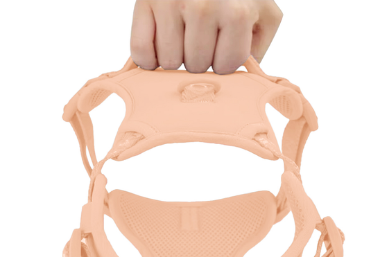 PP25003UP.03.png.SALMÃO