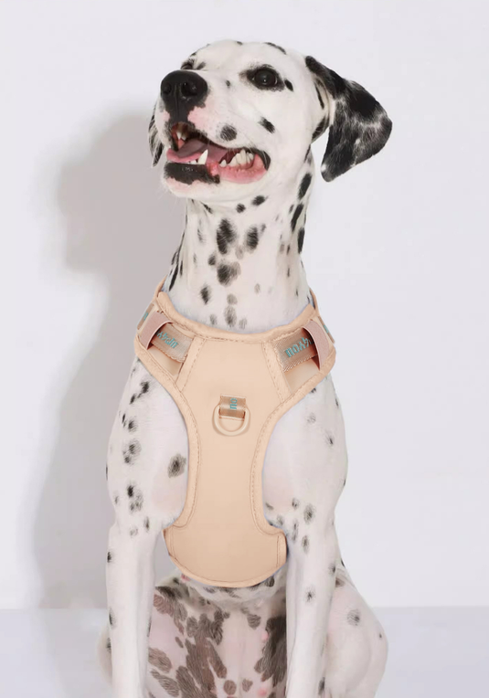 PP25003UP.04.png.VERDE