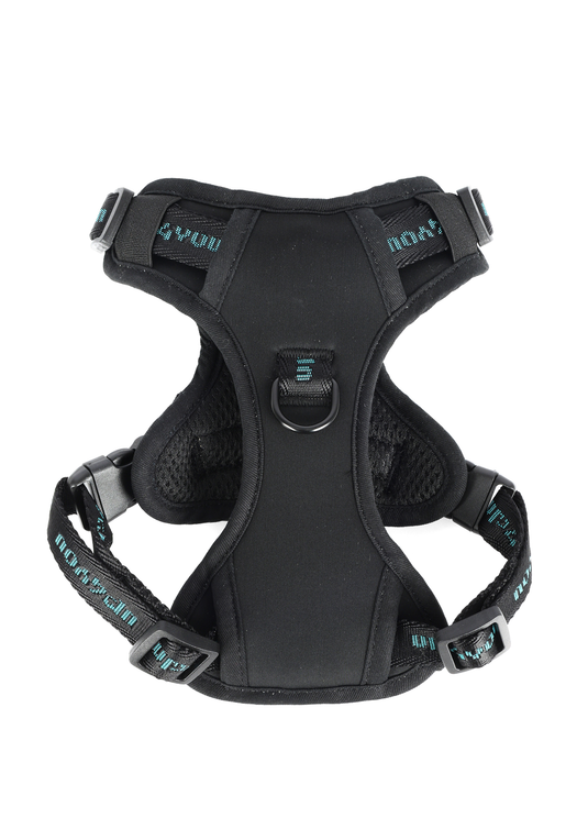 PP25003UP.0600.01.png.PRETO