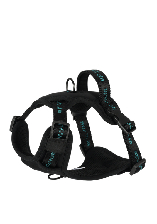 PP25003UP.0600.04.png.PRETO