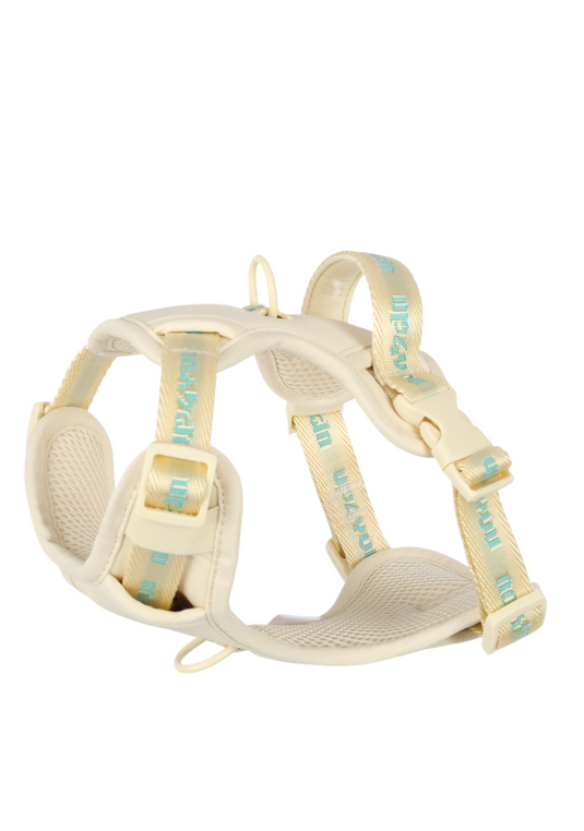 PP25003UP.1000.05.png.BEGE