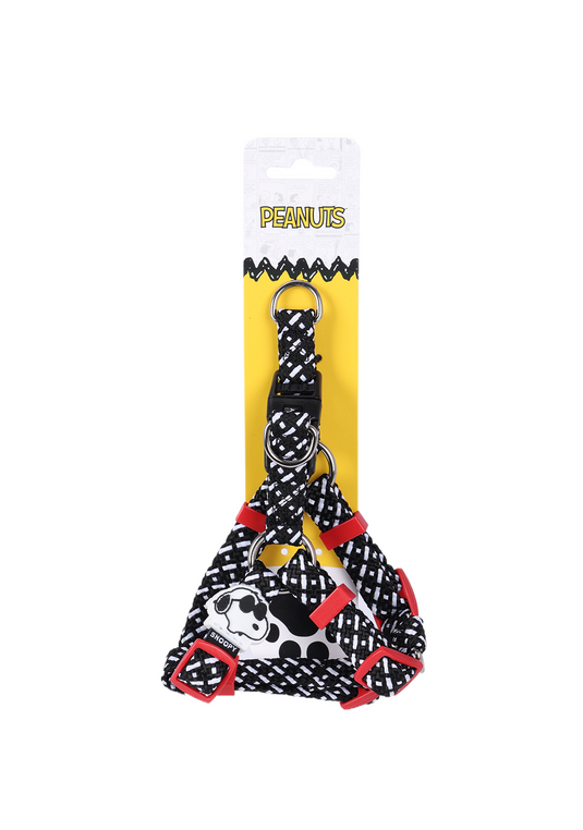 PP25004SN-P.0600.05.png.PRETO