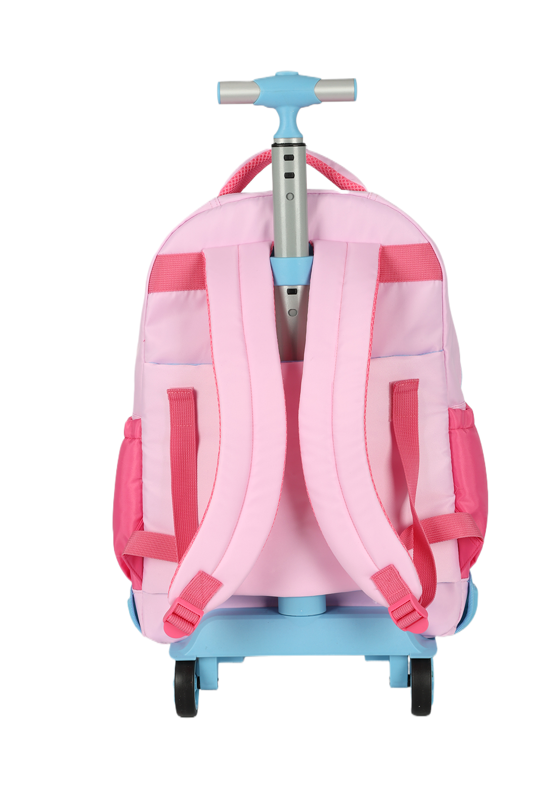 MC49694SR.0300.05.png.ROSA