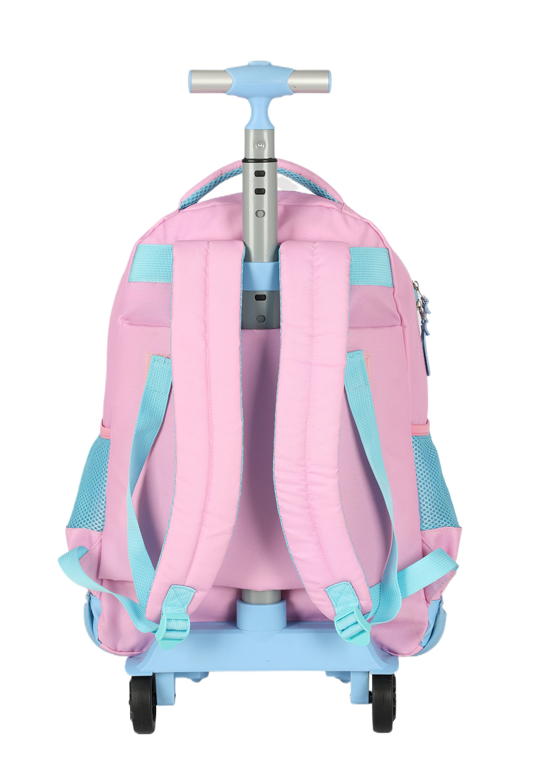 MC50042SC.0300.05.png.ROSA