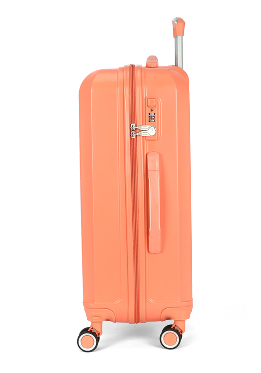 MF10454UP.0200.05.png.SALMÃO