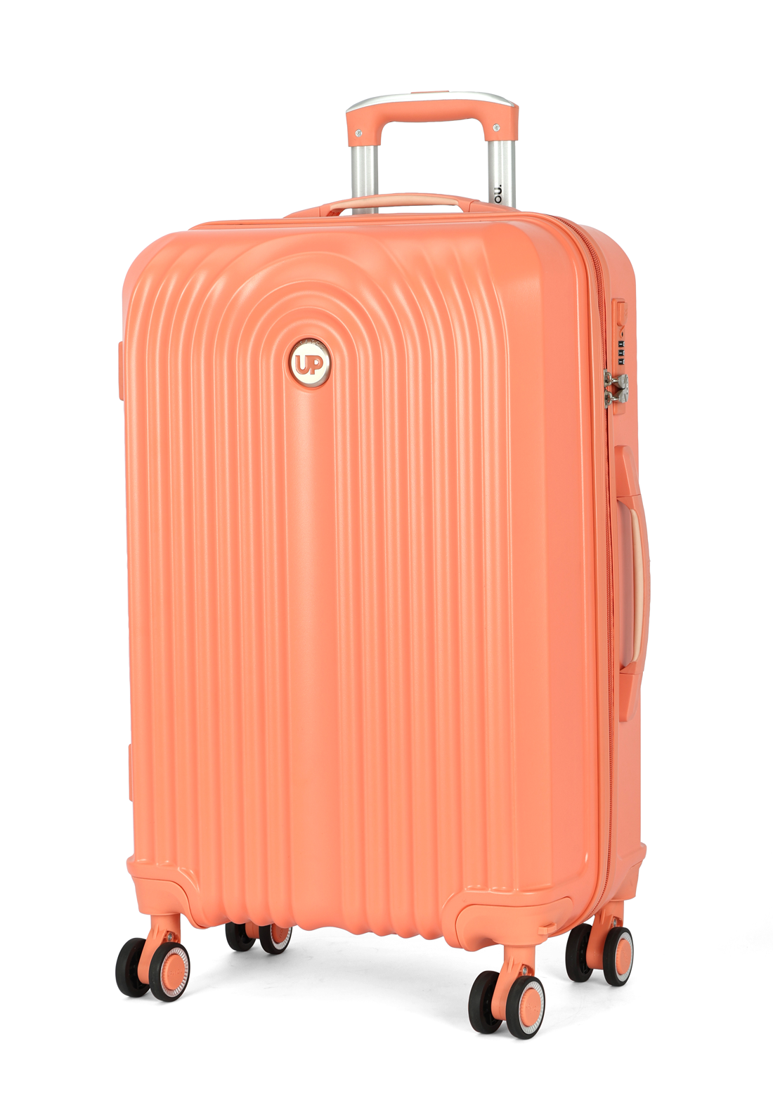 MF10454UP.0200.08.png.SALMÃO