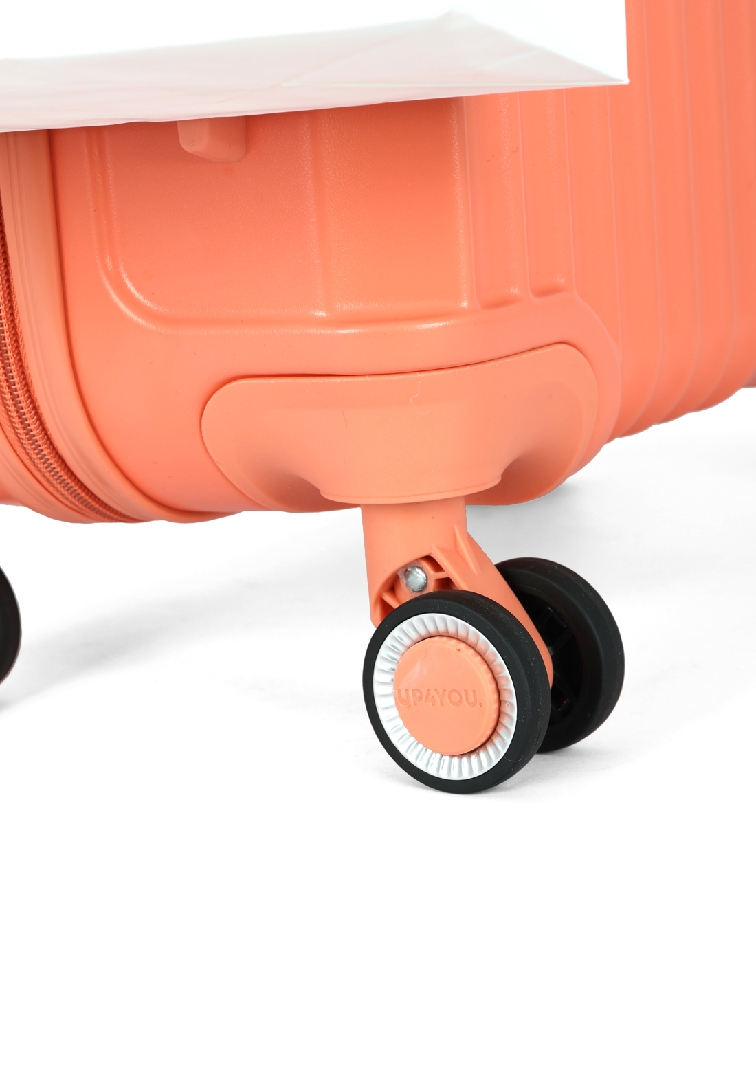 MF10454UP.0200.09.png.SALMÃO