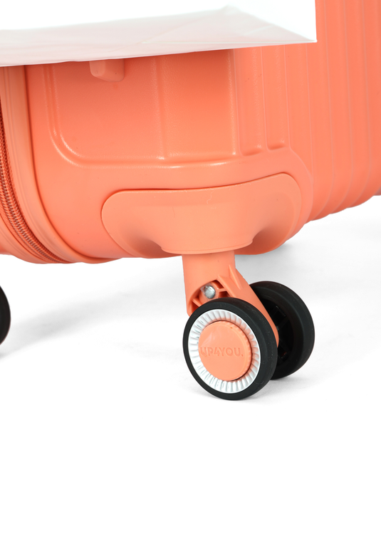 MF10454UP.0200.09.png.SALMÃO