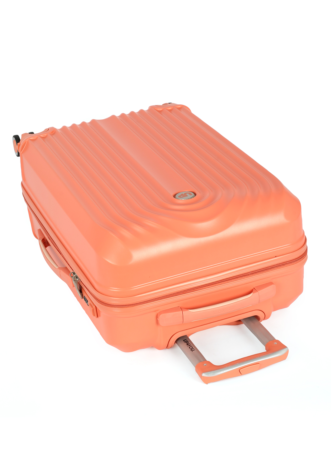 MF10454UP.0200.11.png.SALMÃO