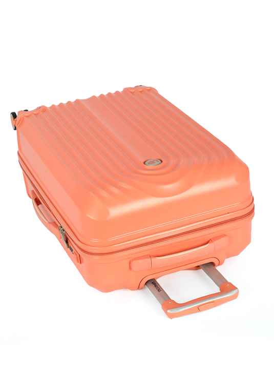 MF10454UP.0200.11.png.SALMÃO