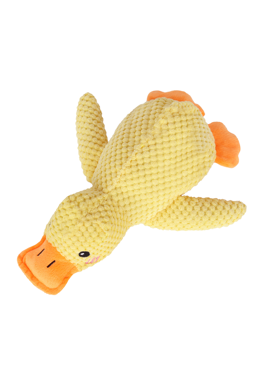 PB24003UP.0700.02.png.AMARELO
