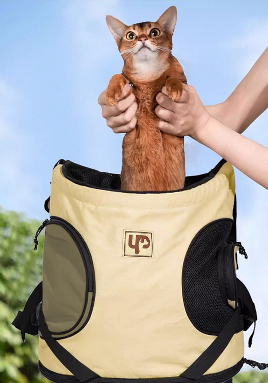 PE23003UP.1000.41.png.BEGE