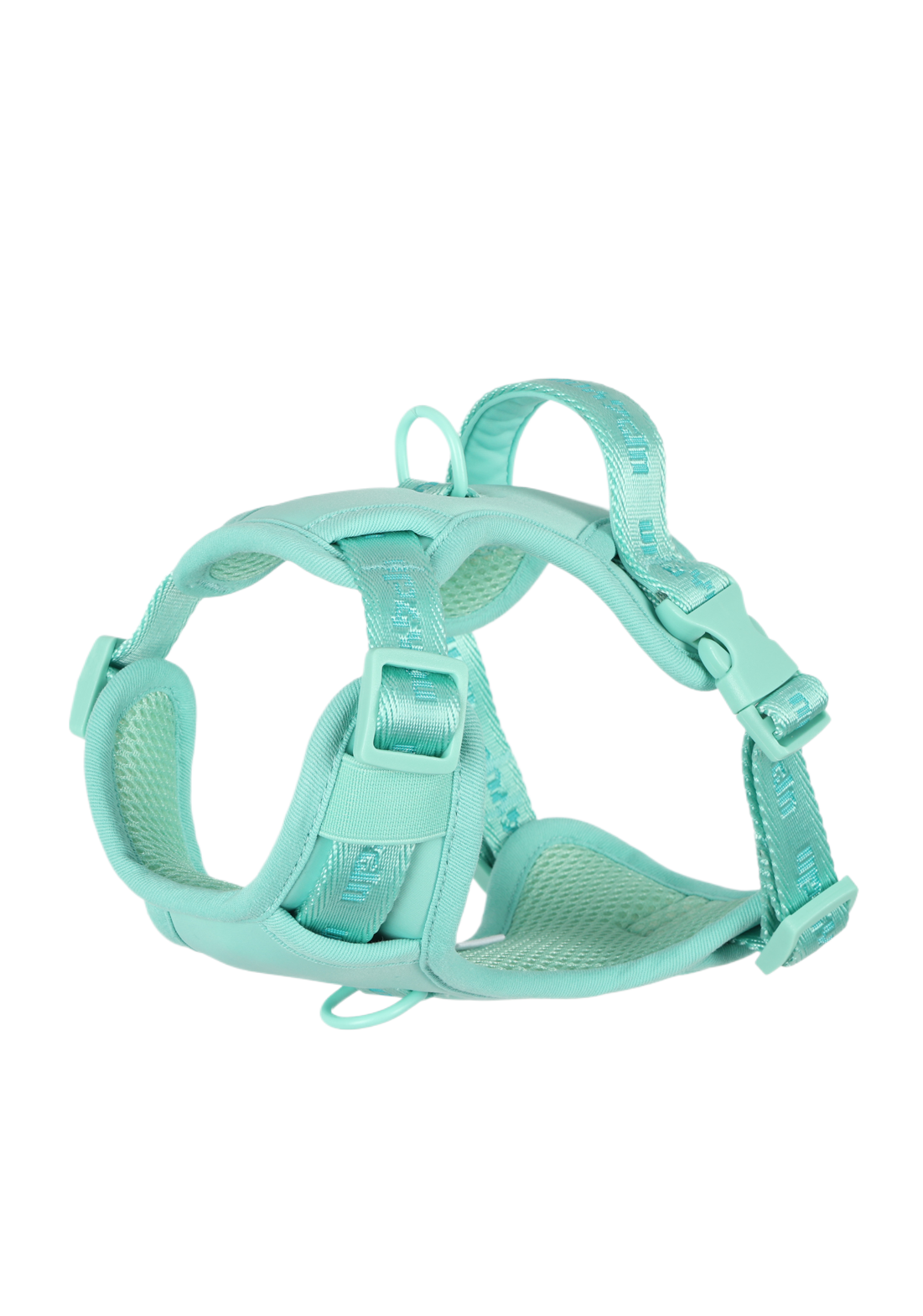 PP25003UP.0100.05.png.VERDE