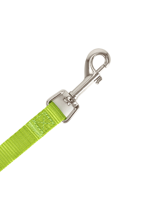PP25009UP.0100.12.png.VERDE