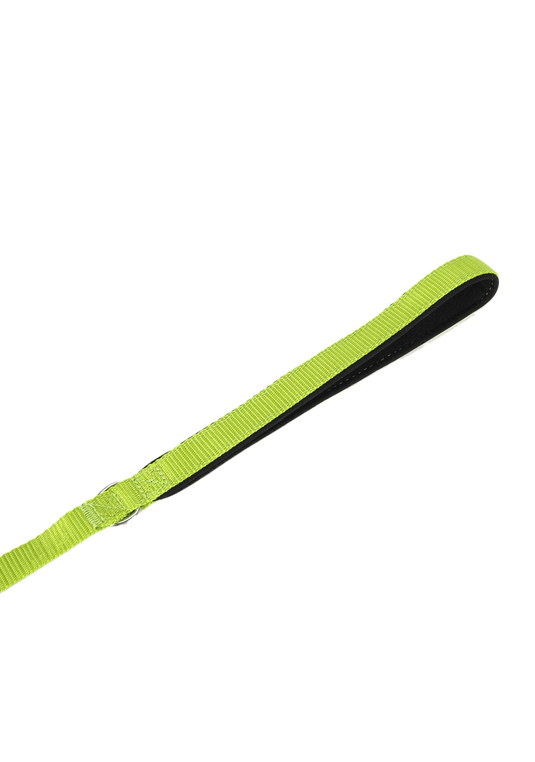 PP25009UP.0100.13.png.VERDE