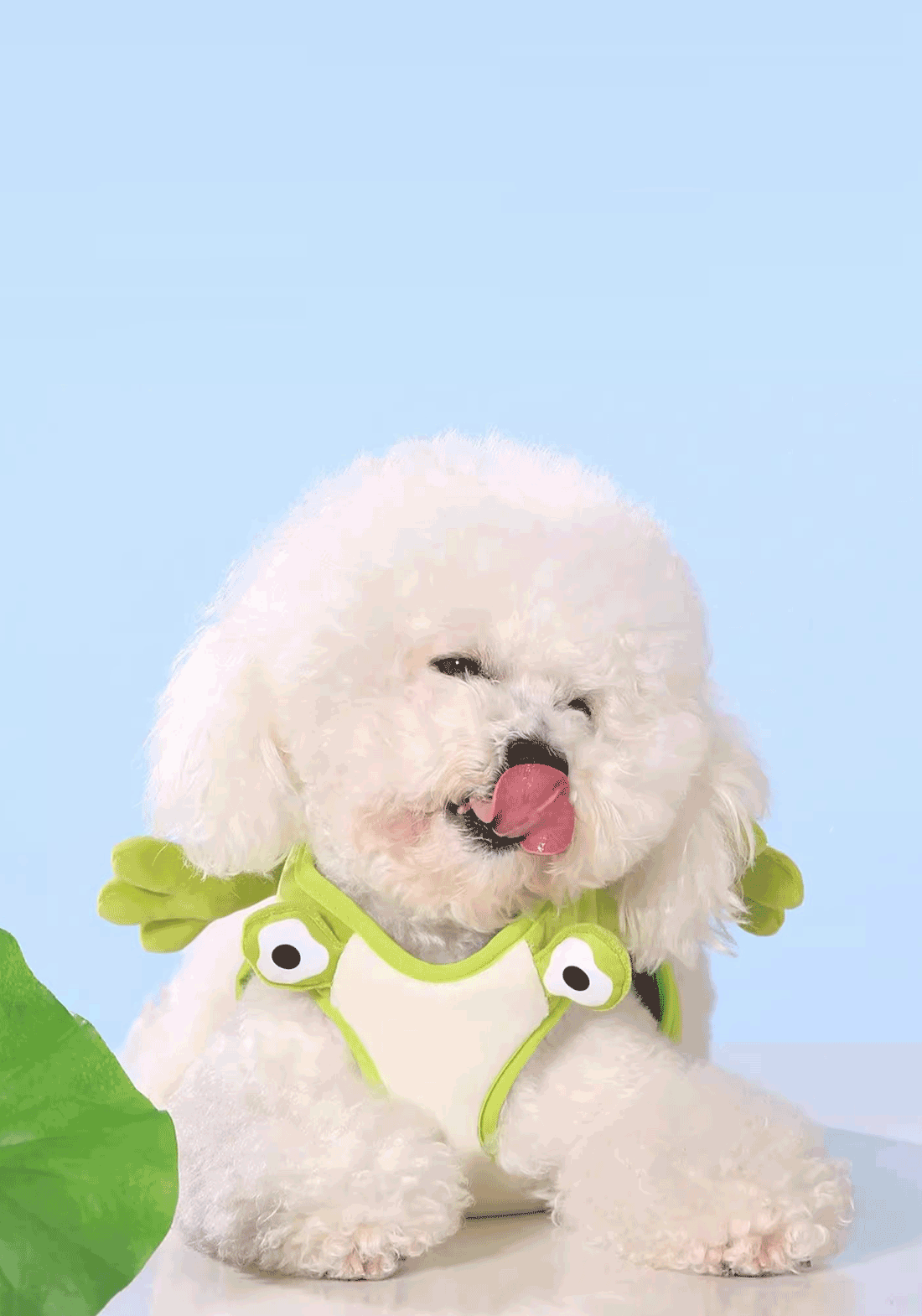 PP25009UP.13.png.VERDE
