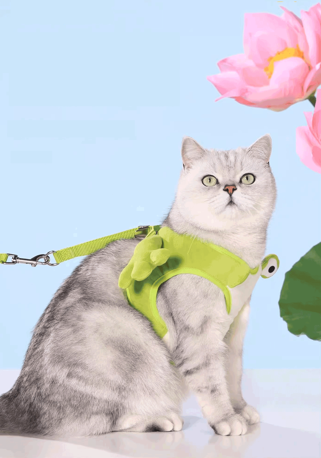 PP25009UP.17.png.VERDE